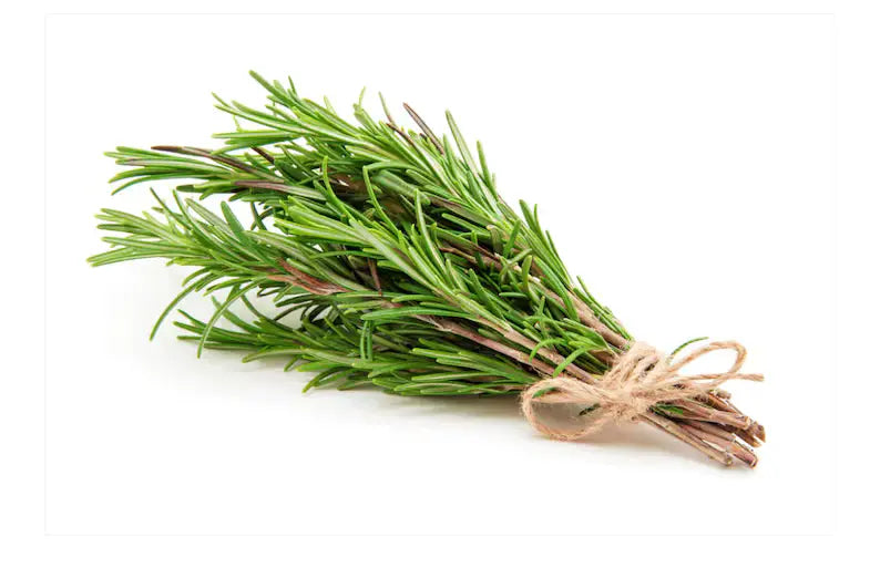 Rosemary Herb Bunch