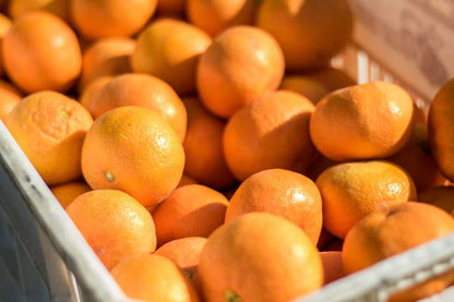 Seasonal Organic CSA Fruit Box